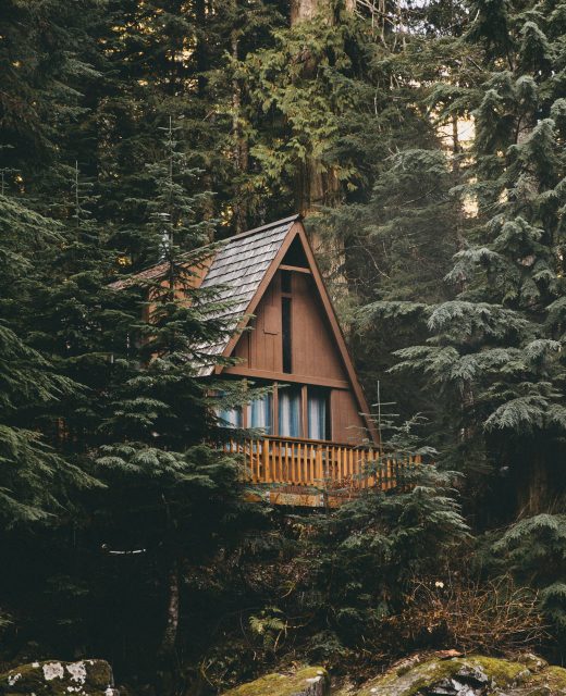 david-kovalenko-9-qFzV9a2Zc-unsplash